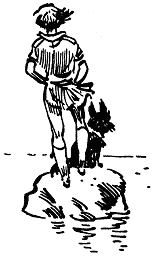 Нові пригоди Електроника - doc2fb_image_0300000B.png