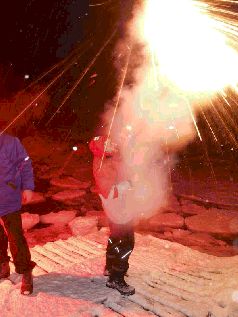 Записки переворачивателя пингвинов (СИ) - pic_11.jpg