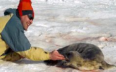 Записки переворачивателя пингвинов (СИ) - pic_12.jpg