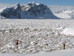Записки переворачивателя пингвинов (СИ) - pic_14.jpg