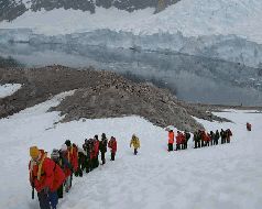 Записки переворачивателя пингвинов (СИ) - pic_41.jpg