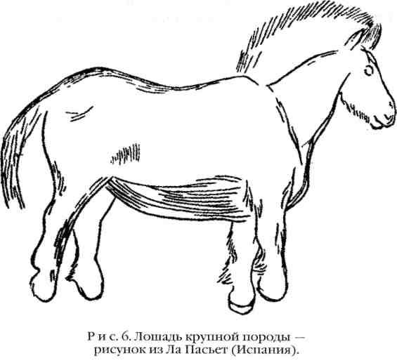 Повседневная жизнь охотников на мамонтов - img_6.jpeg