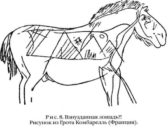 Повседневная жизнь охотников на мамонтов - img_8.jpeg