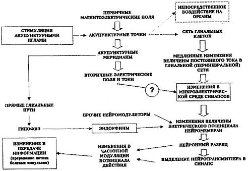 Вибрационная медицина - _26.jpg