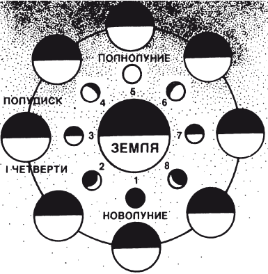 Позвоночник и суставы. Лечение и профилактика - i_131.png