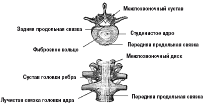 Здоровый позвоночник. Источник гармонии и долголетия - i_063.png