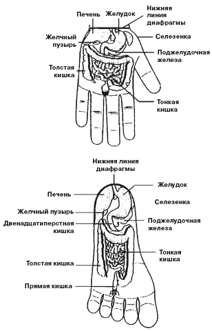 Здоровый позвоночник. Источник гармонии и долголетия - i_098.png