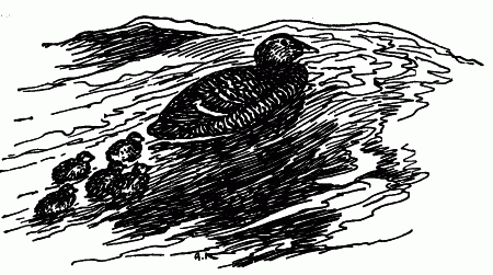 Встречи с животными - img_26.png