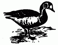 Встречи с животными - img_35.png