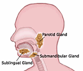 Йога - sluni.png