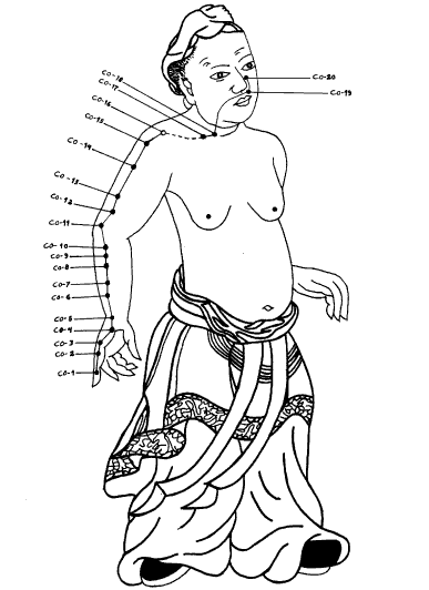 Йога - LargeIntestine.png