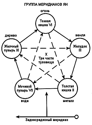 Йога - yangroup.png