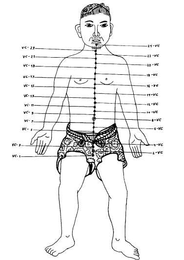 Йога - Conception_Vessel.png