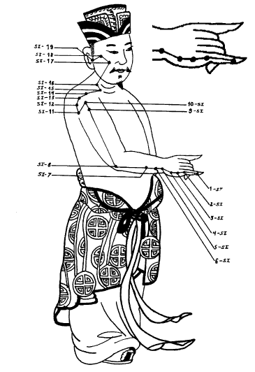 Йога - Small_Intestine.png