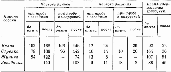 Реакции и поведение собак в экстремальных условиях - i_056.png