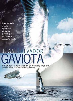Juan Salvador Gaviota - pic_1.jpg