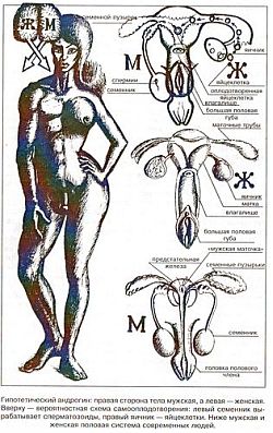 Антропологический детектив. Боги, люди, обезьяны... - i_054.jpg