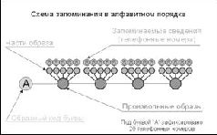 Учебник мнемотехники (СИ) - pic_52.jpg