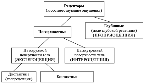 Большой психологический словарь - i_004.png