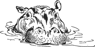 Зоопарк в моем багаже - ZooinMyLuggage_008_IMGX.png