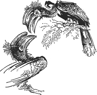 Зоопарк в моем багаже - ZooinMyLuggage_012_IMGX.png