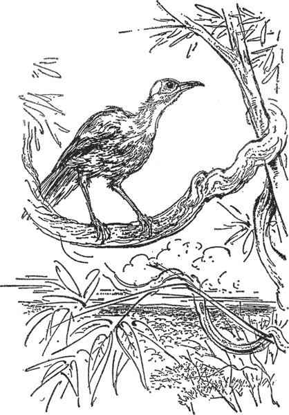 Зоопарк в моем багаже - ZooinMyLuggage_013_IMGX.png