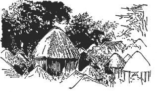 Зоопарк в моем багаже - ZooinMyLuggage_016_IMGX.png