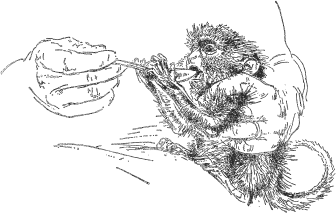 Зоопарк в моем багаже - ZooinMyLuggage_024_IMGX.png