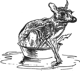 Зоопарк в моем багаже - ZooinMyLuggage_026_IMGX.png