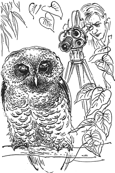 Зоопарк в моем багаже - ZooinMyLuggage_027_IMGX.png