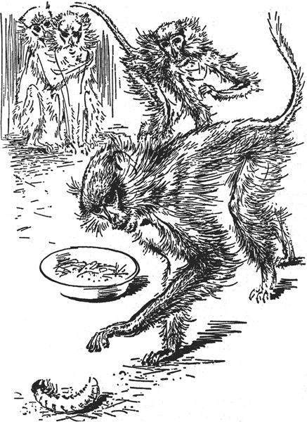 Зоопарк в моем багаже - ZooinMyLuggage_031_IMGX.png