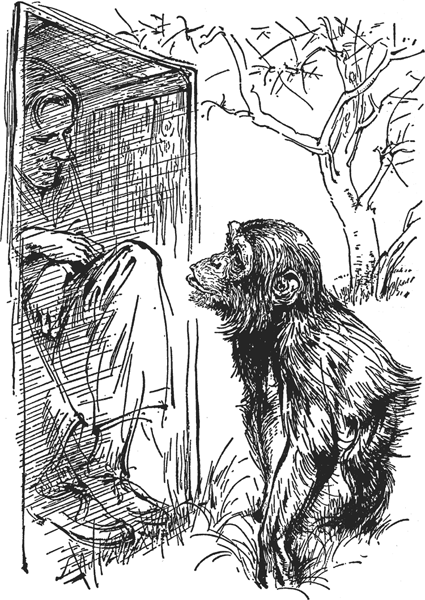 Зоопарк в моем багаже - ZooinMyLuggage_032_IMGX.png