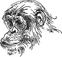 Зоопарк в моем багаже - ZooinMyLuggage_033_IMGX.png