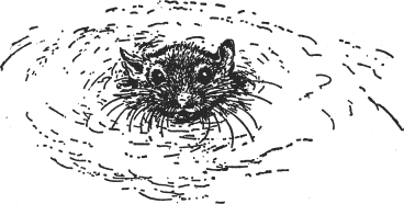 Зоопарк в моем багаже - ZooinMyLuggage_035_IMGX.png