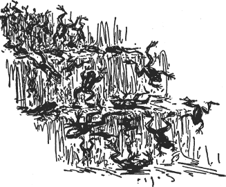 Зоопарк в моем багаже - ZooinMyLuggage_036_IMGX.png