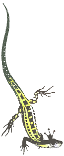 Сказы - i_010.png