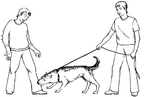 Воспитание собаки-защитника - im28.jpg