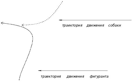 Воспитание собаки-защитника - im29.jpg