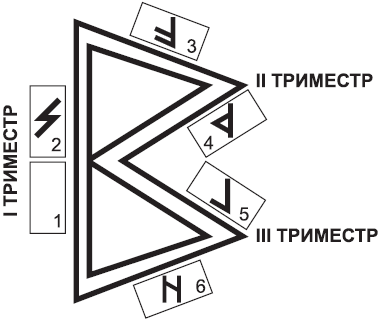 Золотые руны - _45.png