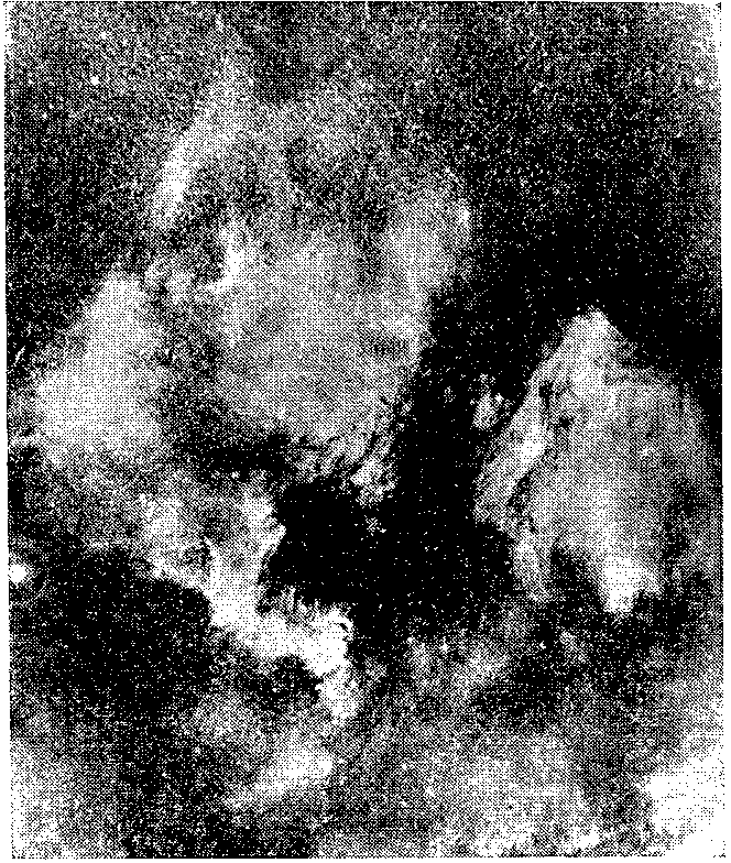 Звезды: их рождение, жизнь и смерть - img_52.png