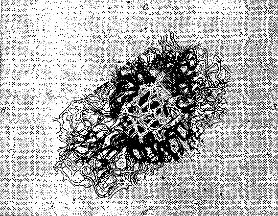 Звезды: их рождение, жизнь и смерть - img_783.png