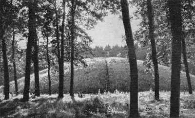 Кельтская цивилизация и её наследие - st000_65.jpg