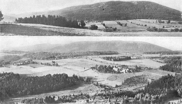 Кельтская цивилизация и её наследие - st000_70.jpg