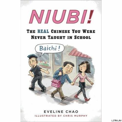 Niubi! The Real Chinese You Were Never Taught in School - pic_1.jpg