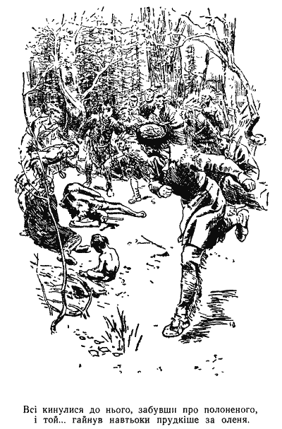 Звіробій - doc2fb_image_03000015.png