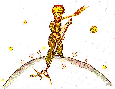 Le Petit Prince - pic_15.jpg