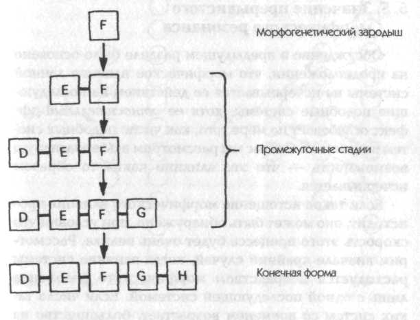 Новая наука о жизни - i_014.jpg