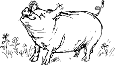 Красная книга сказок кота Мурлыки - i_110.png