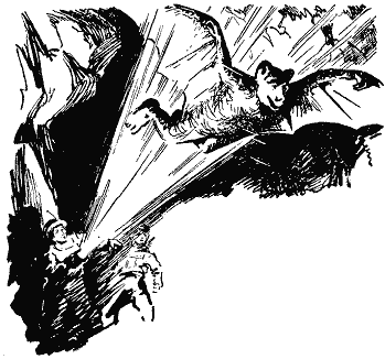 Сигнали з Всесвіту - i_023.png