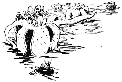 Сигнали з Всесвіту - i_028.png